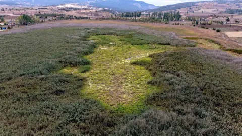 Çorum'daki Gölünyazı Milli Parkı'nda sulak alan yağışlara rağmen su tutmadı