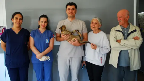 Kumluca yangınında yüzde 40 yanan kedi Luna, 2 aydan fazla tedaviyle ailesine kavuştu
