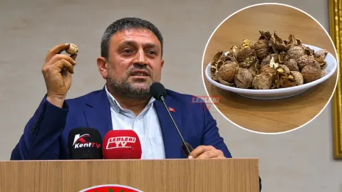 Oğuzlar cevizi için dikkat çeken çağrı: “Herkes akın etsin”