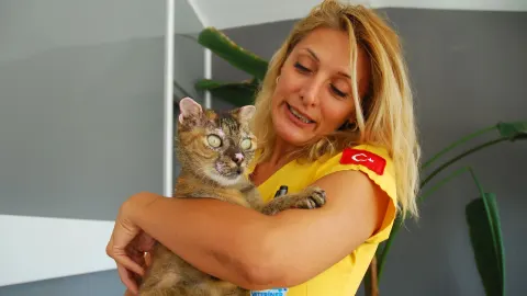 Orman yangınında vücudunun yüzde 40'ı yanan kedi 'Luna', yaşam savaşını kazandı