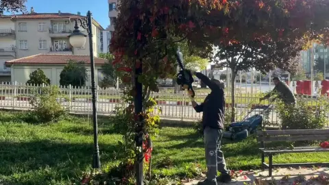 Sungurlu’nun Nefes Alan Alanları Yenileniyor